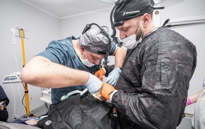Two dental surgeons focus on a complex procedure in a modern clinic setting.